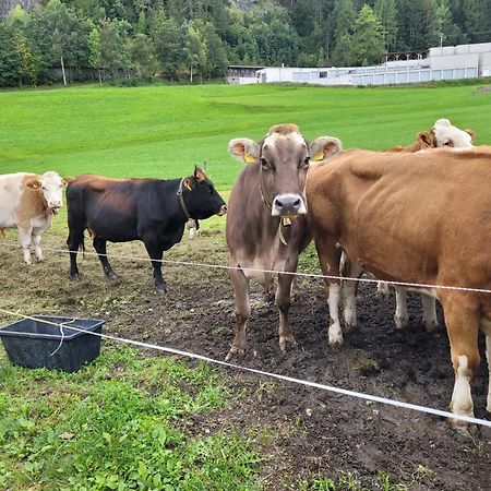 Ferienhof Bichlhof Arzl im Pitztal Εξωτερικό φωτογραφία