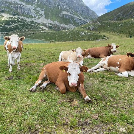 Ferienhof Bichlhof Arzl im Pitztal Δωμάτιο φωτογραφία